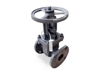 Задвижки стальные Z40Н-64 LY 30с76нж (Ру-64) ДУ65